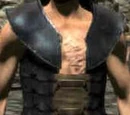 Dark Lorica