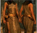 Divine Surcoat
