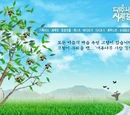 Love on a Jujube Tree