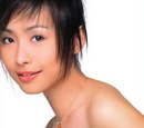 Ann Kok