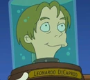 Leonardo DiCaprio's head