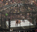 Steel Asylum Match