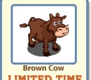 Brown Cow