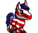 American Mini Foal