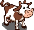 Cow