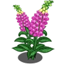 Foxglove (Spring Basket)-icon.png