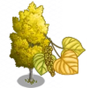 American Aspen Tree-icon.png