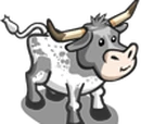 Gray Pineywoods Cow