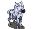 Falabella Foal