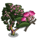 Rainbow Gum Tree-icon.png