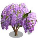 Japanese Wisteria Tree-icon.png