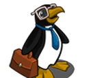 Grown Up Penguin