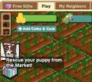 Puppy Kibble