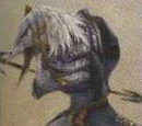 Rinok