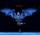 Orden der Malygos-Magier