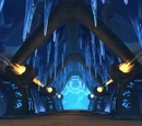 Der Nexus