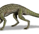 Adamantinasuchus