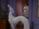 6x06 Pat.jpg