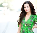 Sabrina Santiago (Teresa Castillo)