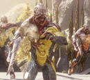 Flood (Infection gametype)