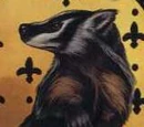 Badger