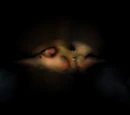 HWC Campaign: Deep Space (Tel Sector)
