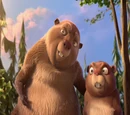 Present Day Beavers