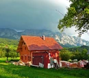 Homestay