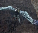 Validus