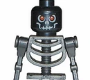 Black Skeleton Warrior