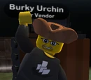 Burky Urchin
