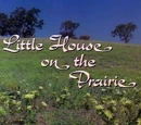 Little House on the Prairie (Television Series)