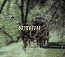 Episode 123: Survival