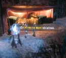 Side Quest: Letter to Mom
