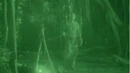 6X10 lockeGreen.jpg