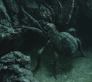 Giant Spiders