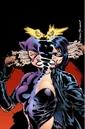 Catwoman 0112.jpg