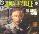 Smallville Vol 1 8