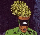 Medphyll (New Earth)