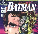 Batman Annual Vol 1 14