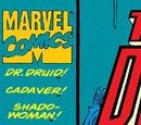 Secret Defenders Vol 1 20