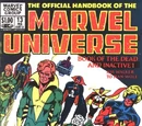 Official Handbook of the Marvel Universe Vol 1 13