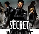 Secret Warriors Vol 1 20