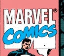 Punisher Vol 2 40
