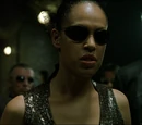 Cast of The Matrix Reloaded