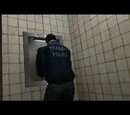 Transit police