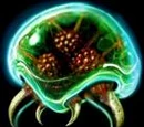 Metroid (Gegner)