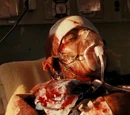 The Girl Who Played with Fire (2009 movie)