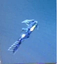 MH3G-Bracchidios LBG.JPG