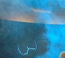 Tales from the Vet